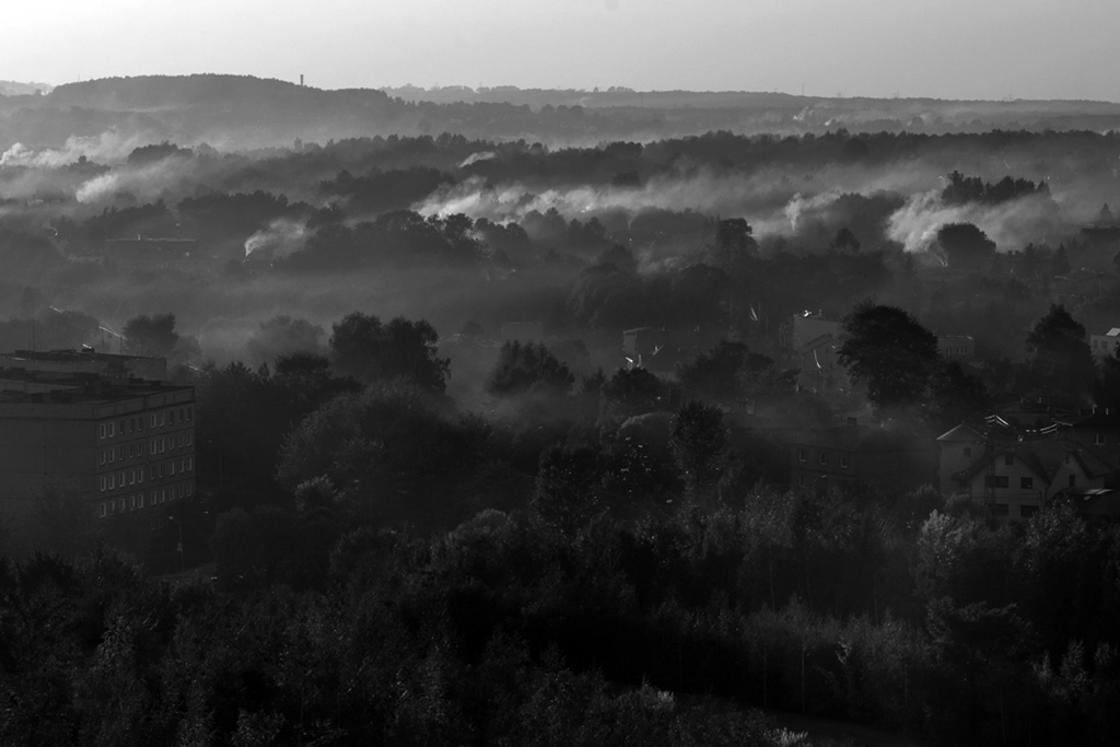 Widok na panoramę domków, wyłaniających się z pośród drzew.