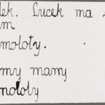 Kartka papieru z napisami: ,,lalek. Lucek ma 2 sam, samoloty. I my mamy samoloty''.