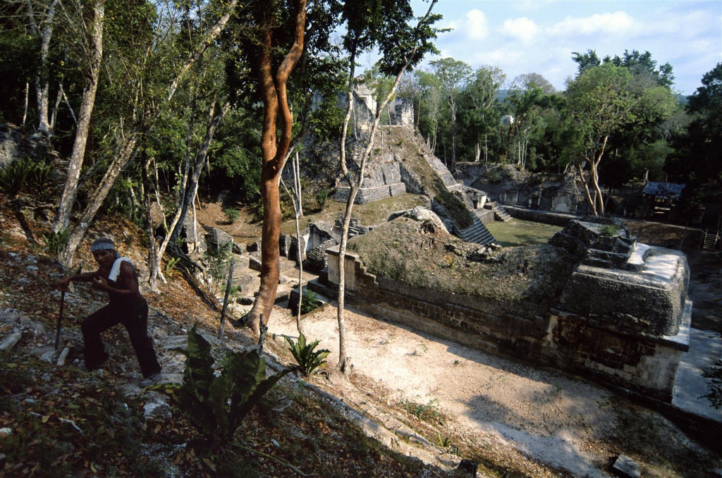 Wykopaliska w Gwatemali. Ruiny piramidy Majów.